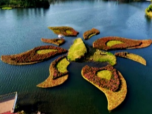 生态浮岛